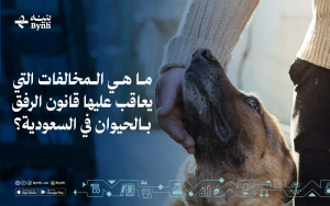 المخالفات التي يعاقب عليها قانون الرفق بالحيوان في السعودية