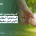 شروط صندوق النفقة السعودي