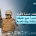 نظام خدمة الأفراد الجديد في المملكة العربية السعودية