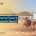 عقود تجارة الإبل في السعودية