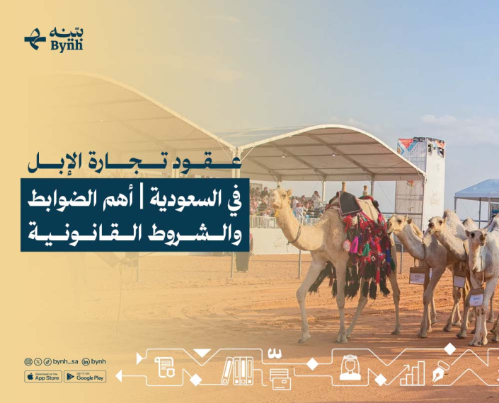 عقود تجارة الإبل في السعودية