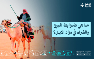 ما هي ضوابط البيع والشراء في مزاد الابل؟ 