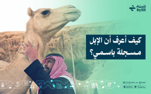كيف أعرف أن الإبل مسجلة باسمي؟