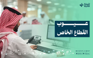 عيوب القطاع الخاص